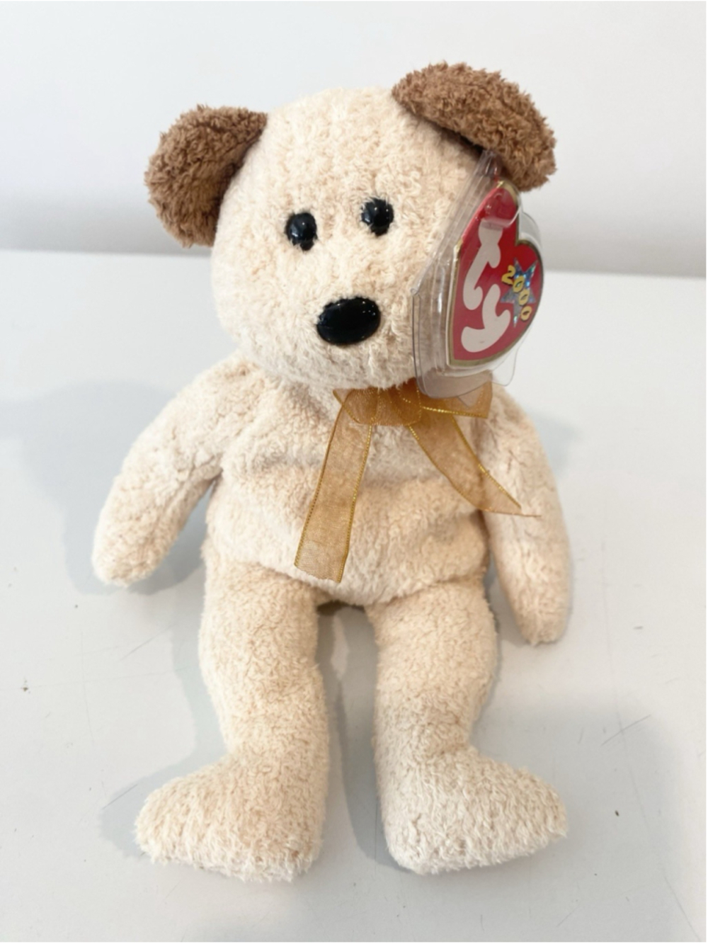 TY Beanie Baby Huggy Dog 2000 Commemorative Hang Tag Protector Plush